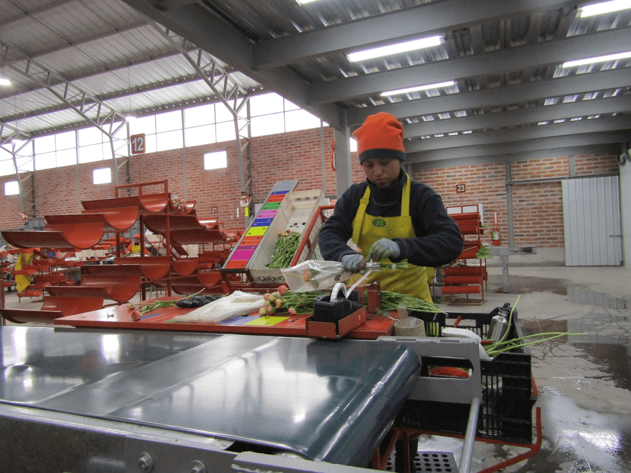 iBuyFlowers Offers NextDay Flowers!